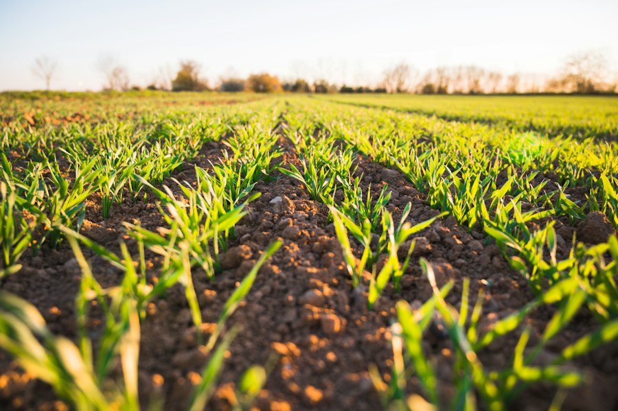 Agriculture & Farming operations