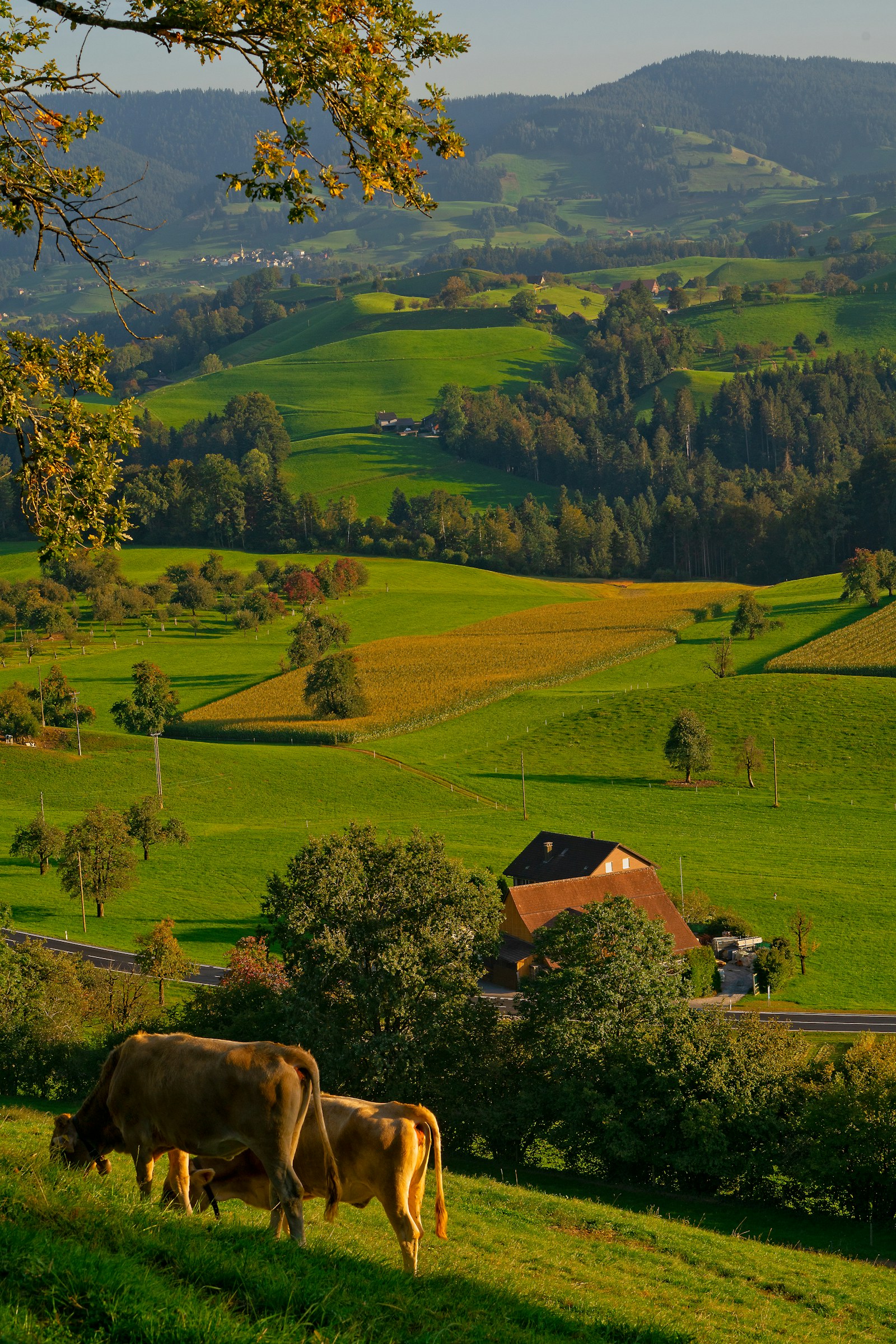 Agriculture operations